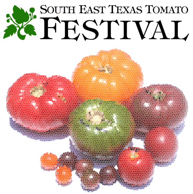 SETTFest-2016-Logo